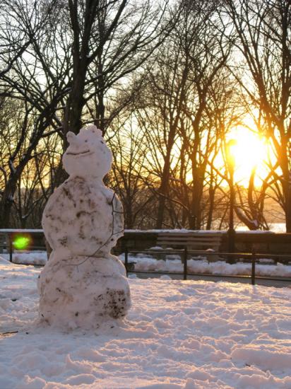 pig snowman
