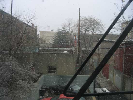 snow back window