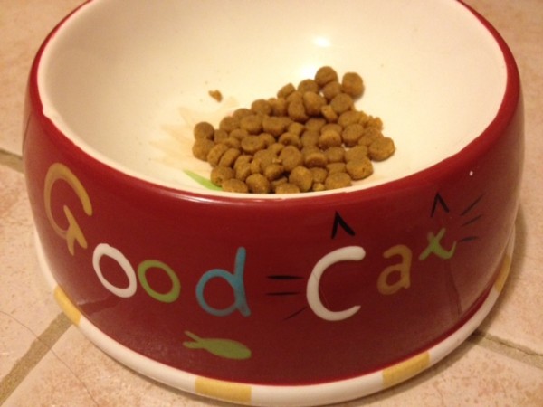 goodcat